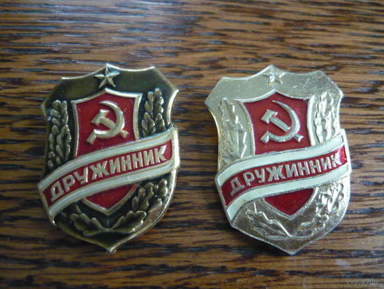 ДРУЖИННИК