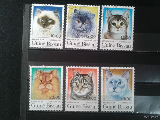 Гвинея Бисау, 1985. Домашние кошки