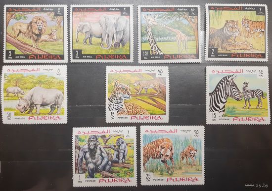 Фуджейра. Фауна (615)