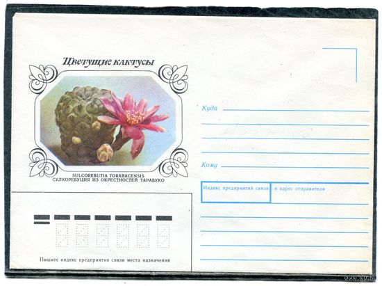 СССР 1990 (1983). Немаркированный конверт. Кактус Сулкоребуция