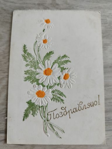 Пинская типография. 1950-е