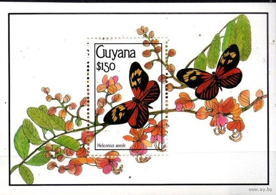 1990 Гайана  Бабочки насекомые MNH
