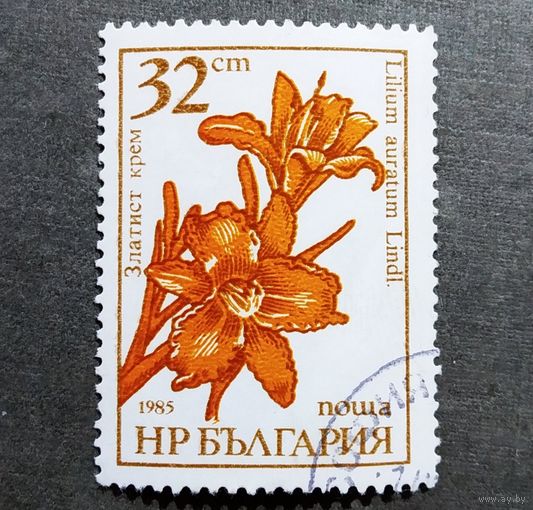 Марка Болгария 1985 год Цветы