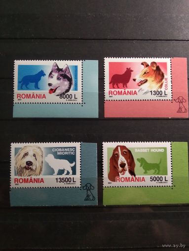 Румыния 2001 г. Собаки.