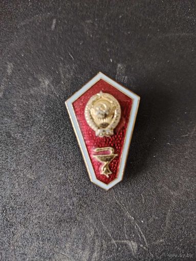 Знак об окончании среднего училища медик