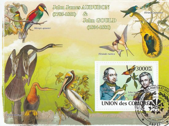 Коморы /птицы/ 2008г