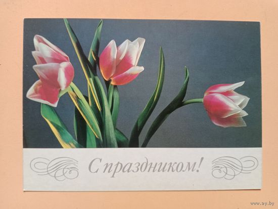 Открытка Савалова 1985 чистая