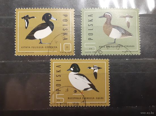 Польша. 1985 год. Фауна. Птицы (363)