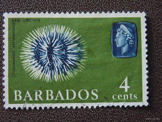 Барбадос 1965 г . Морская фауна.