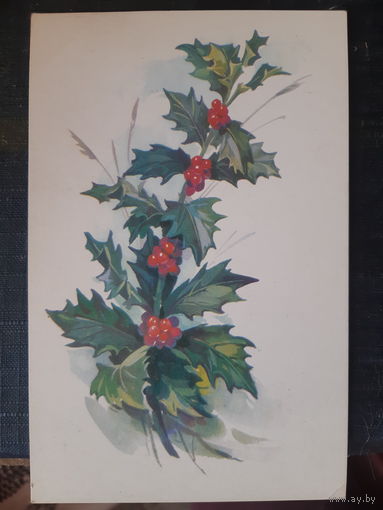 Открытка Куртенко. Лех. 1977г., чистая. (1)