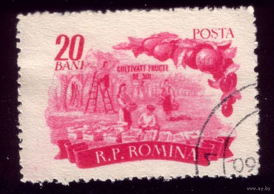 1 марка 1955 год Румыния 1540