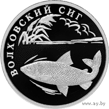 Красная книга: Волховский сиг
