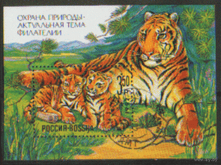 РФ. З. БЛОК 1. 1992. Охрана природы. Тигрица с тигрятами. ГаШ.