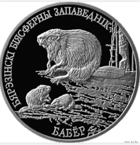 "Березенский биосферный заповедник. Бобр"