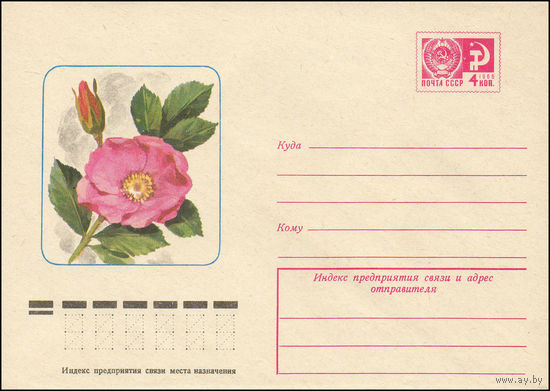 Художественный маркированный конверт СССР N 10796 (09.09.1975) Шиповник