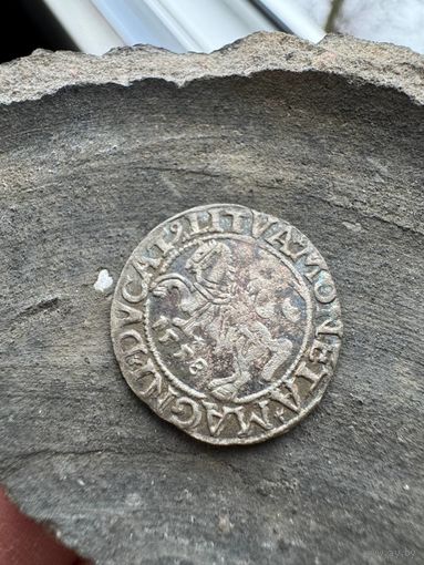 Полугрош 1558