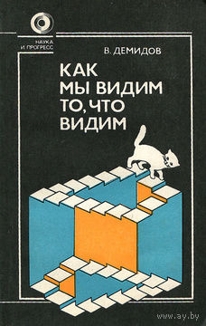 В. Демидов. Как мы видим то, что видим.