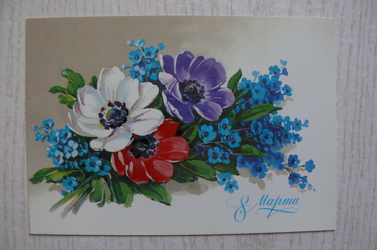 Куртенко Г., 8 Марта, 1984, чистая.