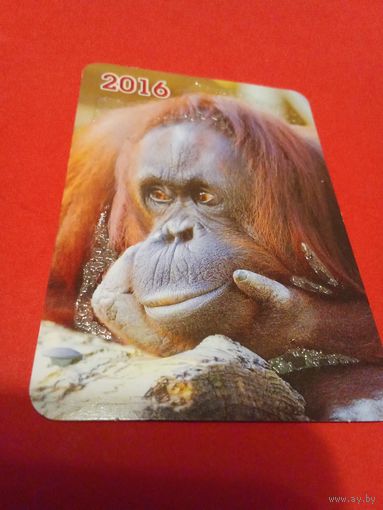 Календарик 2016г