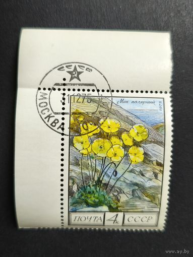 1975 СССР. Цветы Кавказа. Мак полярный