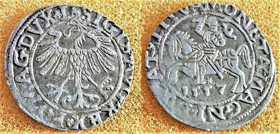 ПОЛУГРОШ 1557, ЖИГИМОНТ АВГУСТ, ЛИТВА. ОКОНЧАНИЕ ЛЕГЕНД: Ав-L, Рв-LITVA