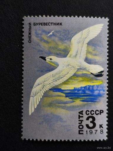 1978 СССР. Арктическая Фауна. Снежный буревестник