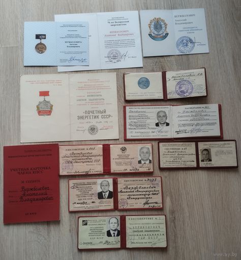 Комплект документов начальника Белорусской энергетической системы