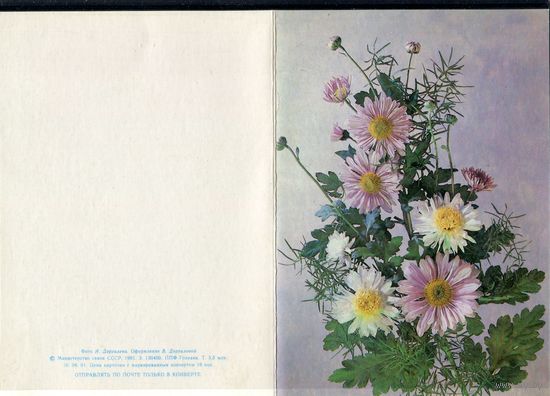 Двойная чистая открытка. Поздравительная. Цветы. Худ. Дергилева 1991 год