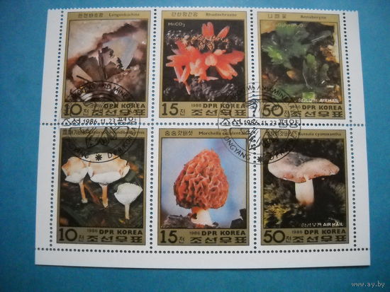 Корея Грибы 1986 г. Блок из 6 марок.