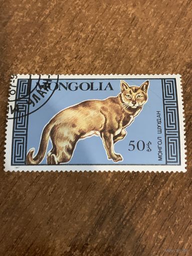 Монголия 1987. Домашние кошки. Марка из серии