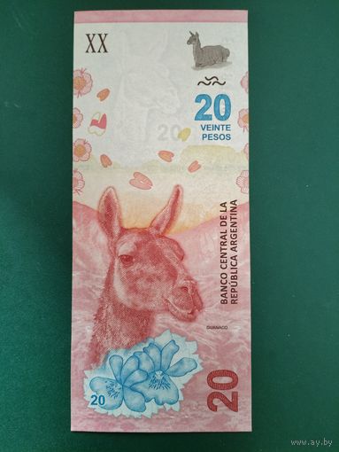 20 песо Аргентина.