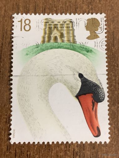 Великобритания 1993. Лебеди. Марка из серии