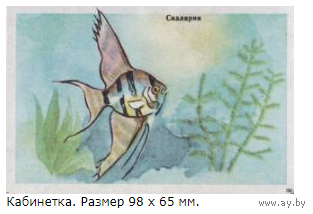 Спичечные этикетки.Сувенирная кабинетка. Аквариумные рыбы.1972 год