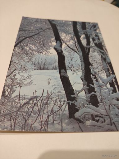 Открытка "Зимы узоры", фото Б.Скачкова, 1986г.