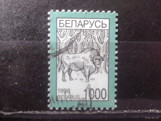 1998 Стандарт, зубр