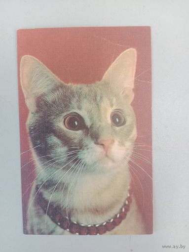 Календарик 1990