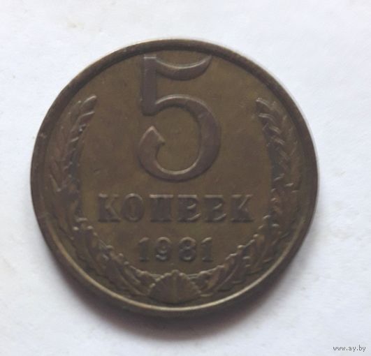 5 копеек 1981 года.