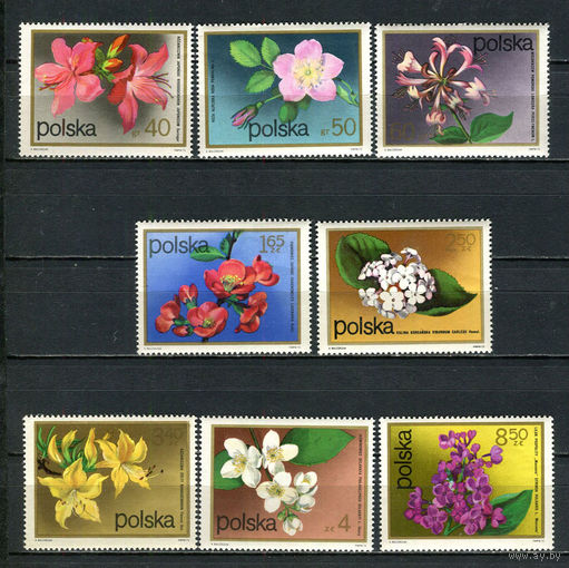 Польша - 1972 - Цветы - (пятно на клее у ном. 40) - [Mi. 2214-2221] - полная серия - 8 марок. MNH.  (Лот 52HY)-TG3P44