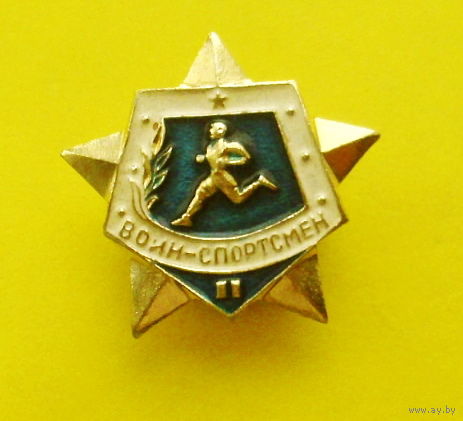 Воин-спортсмен. 2 степень. 430.