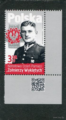 Польша. Лукаш Цеплиньский, боец