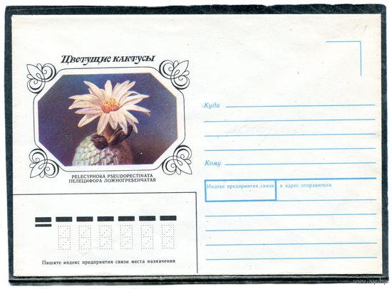 СССР 1990 (1983). Немаркированный конверт. Кактус Пелицифора