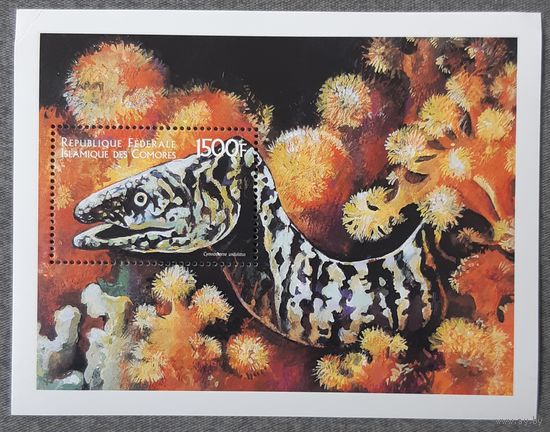1999 Волнистая мурена Федеральная Исламская Республика Коморские острова