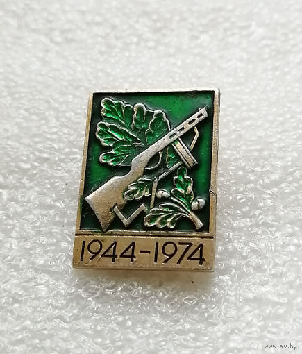 30 лет Освобождения Белоруссии 1944-1974. ВОВ 1941-1945 #0210-WP4