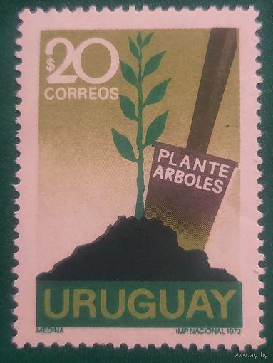Уругвай 1972. Высадка деревьев