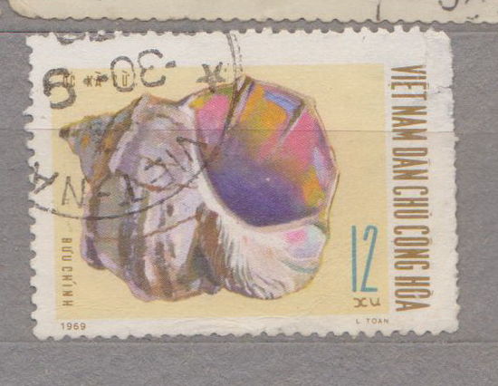 Ракушки Северный Вьетнам 1970 год лот 10