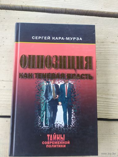 Оппозиция как теневая власть.