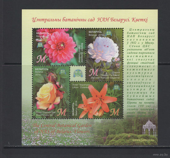 Флора цветы Беларусь 2014 Центральный ботанический сад