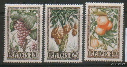 АЛЖ. 290/2. 1950. Плоды. ЧиСт.