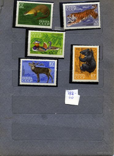 СССР, 1970, Сихоте-Алиньский заповедник, серия 5м   чистая**