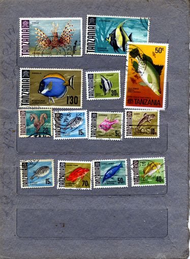 ТАНЗАНИЯ, 1967,   РЫБЫ,  13м  гашен